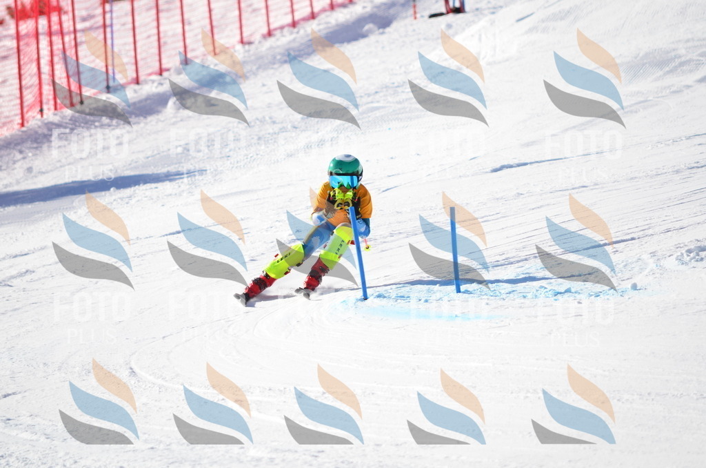 C6415 | holidayphoto