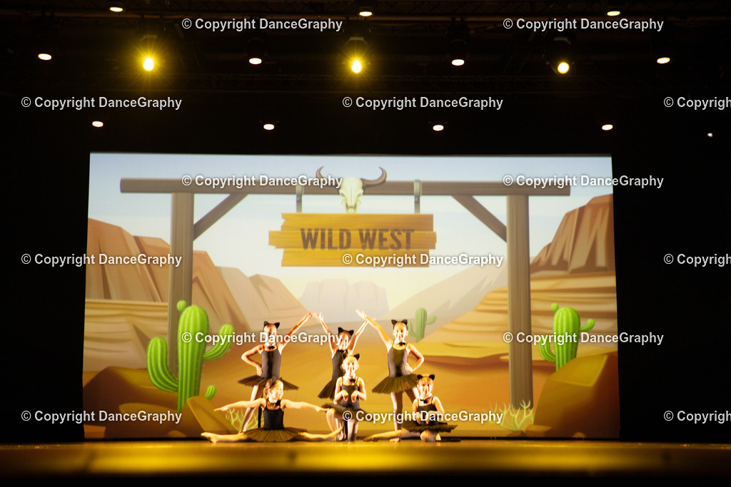 GPHY4248 | DanceGraphy - Realisiert mit Pictrs.com