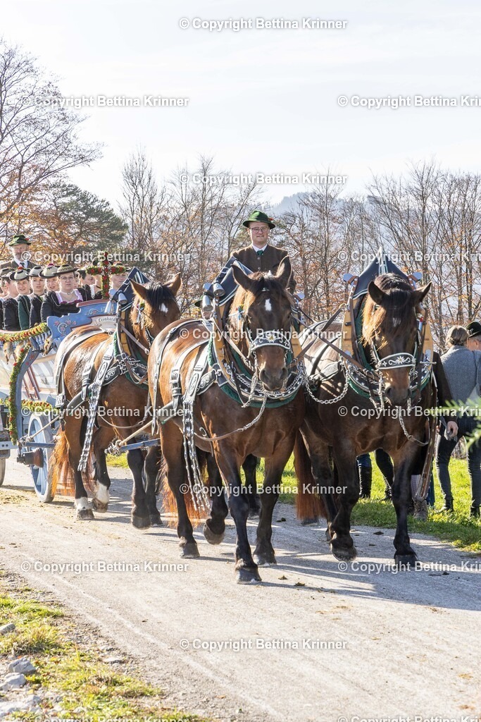 LBT24-1563 | foto-bettina-krinner - Realisiert mit Pictrs.com