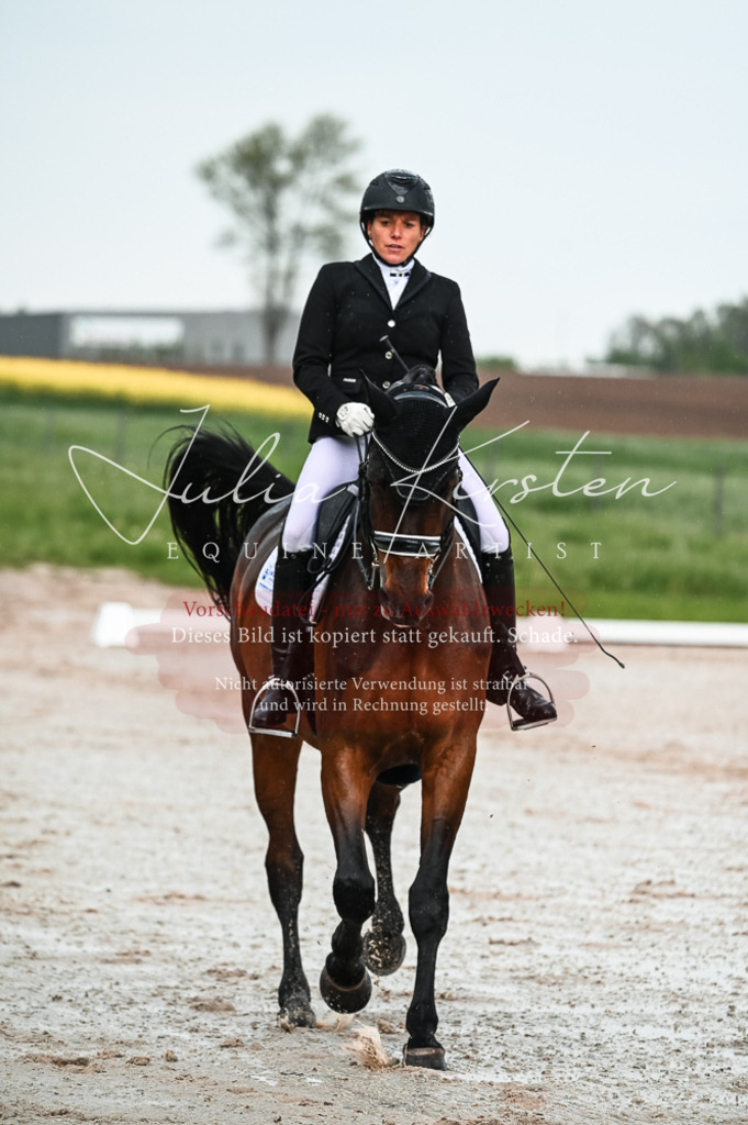 DSC_4193 | Pferde- und Turnierfotografie in Westsachsen. Pferdeportraits, Auftragszeichnungen und intuitive Kunst.