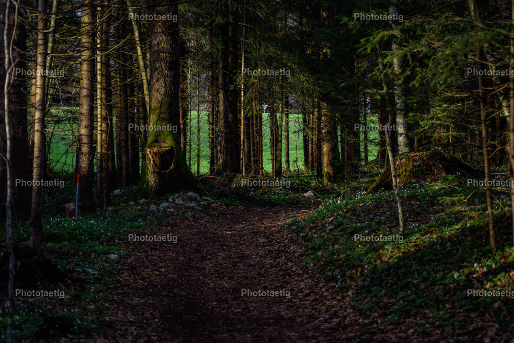 IMG_9280 | phototaetig