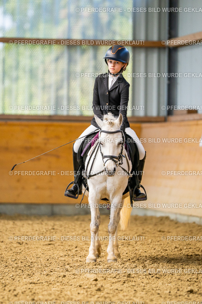 DSC03448 | Pferdegrafie