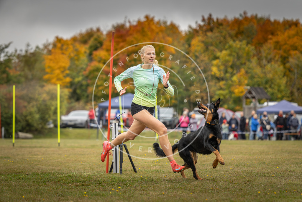 Pfotenfotografie_DV3A4173 | Hundefotografie, Tierfotograf, Pfotenfotografie, Fotoshooting Hund, Hunde Portrait, Hundesport, Hundeportraits, Heideshooting, Hunde, Sportfotograf, Hundefotograf, Turnierhundsport, THS,  - Realisiert mit Pictrs.com