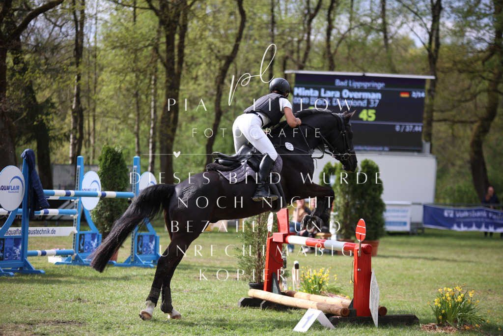 IMGT1913 | pl-fotografie