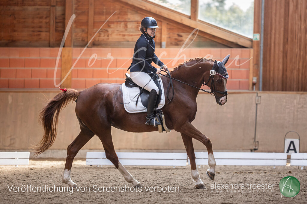 250913_Barop_09_169 | Farbklaex - Turnierfotografie - Realisiert mit Pictrs.com