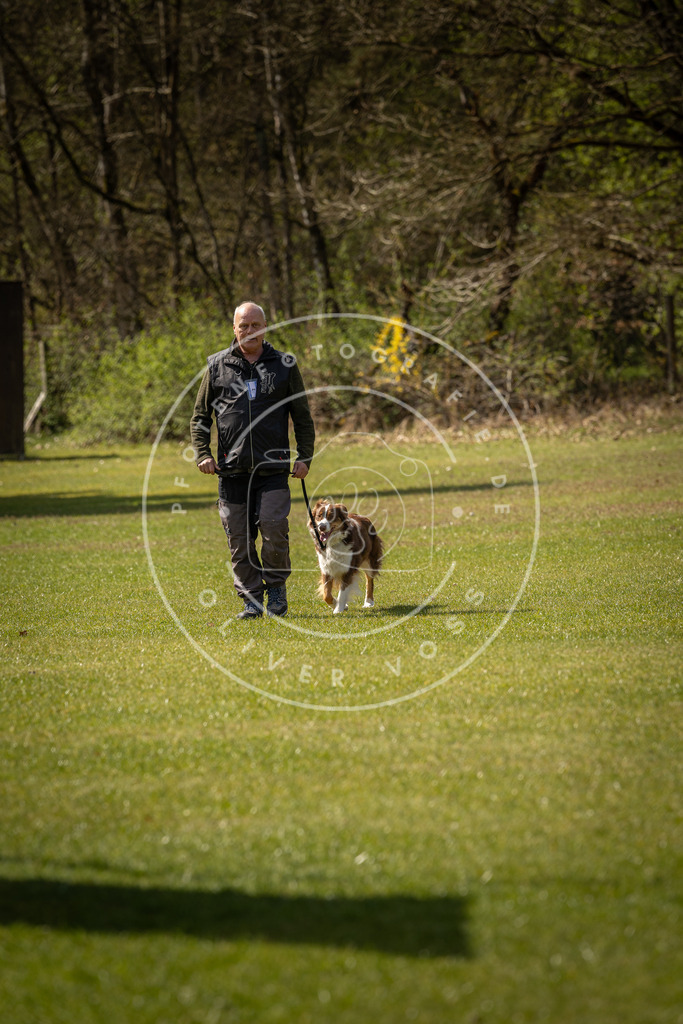 Pfotenfotografie_DV3A1356 | Hundefotografie, Tierfotograf, Pfotenfotografie, Fotoshooting Hund, Hunde Portrait, Hundesport, Hundeportraits, Heideshooting, Hunde, Sportfotograf, Hundefotograf, Turnierhundsport, THS,  - Realisiert mit Pictrs.com