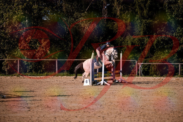 2026_10_03_Siefer-Hof_154541_Z81_64360502 | Professionelle Reitsport-, Turnier- und Eventfotografie von Robert Broda. Galerien mit ausgewählten und bearbeiteten Bildern direkt online ansehen und bestellen.