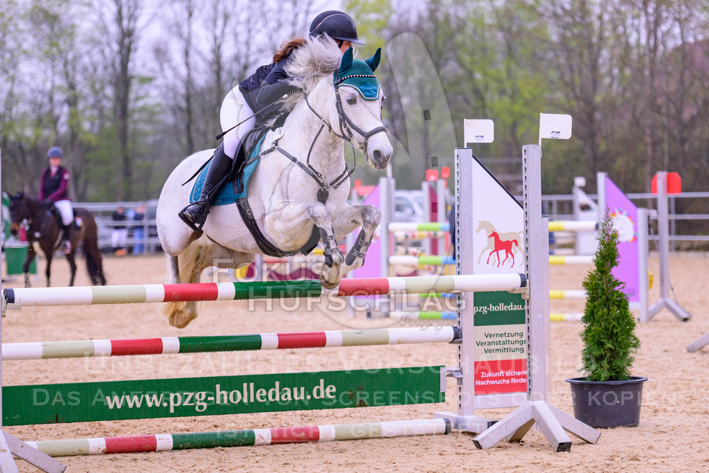 12042026-Mammendorf-Prfg41-0159 | Fokus Hufschlag Fotografie - Realisiert mit Pictrs.com