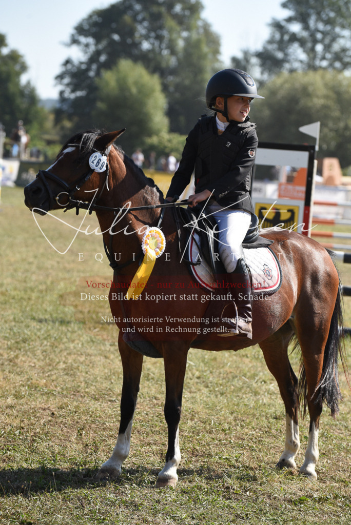 DSC_6146 | Pferde- und Turnierfotografie in Westsachsen. Pferdeportraits, Auftragszeichnungen und intuitive Kunst.
