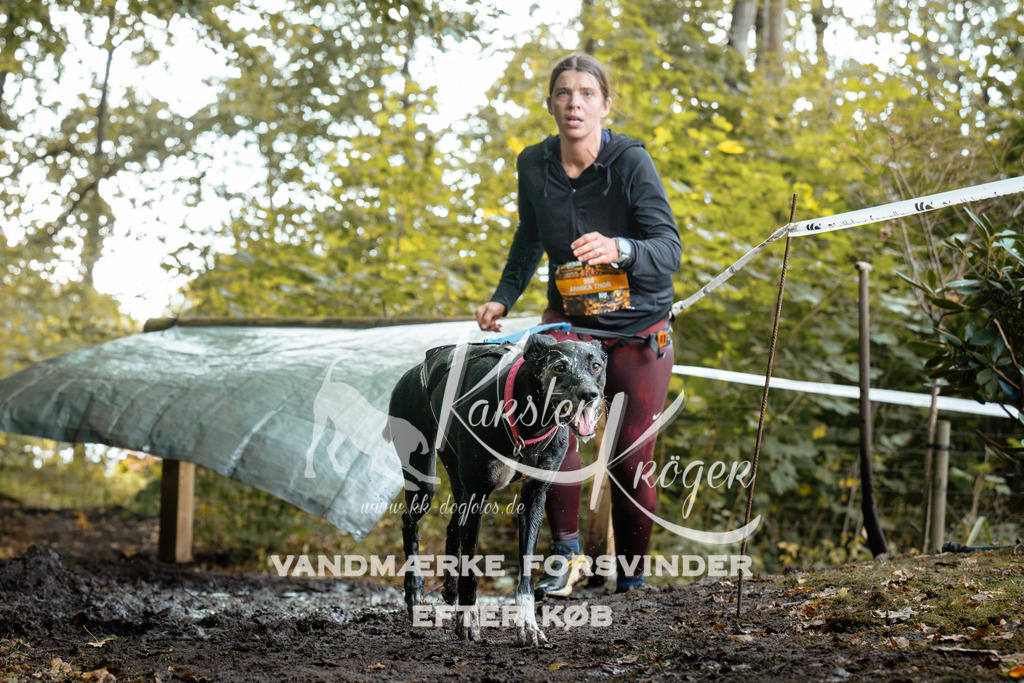 1410DZ6_1173Z6 | kk-dogfotos