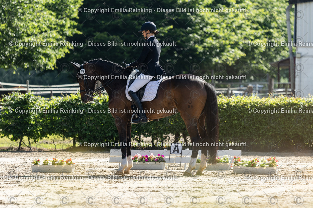 CL5A7084 | Emilia Reinking Fotografie - Realisiert mit Pictrs.com