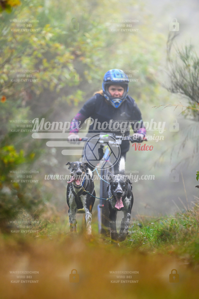 MompixPhotography_20TSB_E4_DS2-13 | PayLife