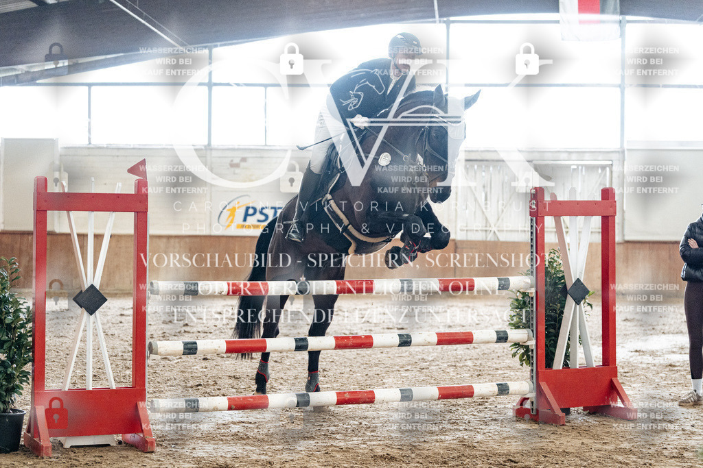 CK906205 | Turnierfotografie Pferdefotografie Trier Rheinland-Pfalz Pferdesport Reitsport Tierfotografie Sportfotografie Pferdevideo Pferdevideografie Equestrianvideography equestrianphotography  - Realized with Pictrs.com