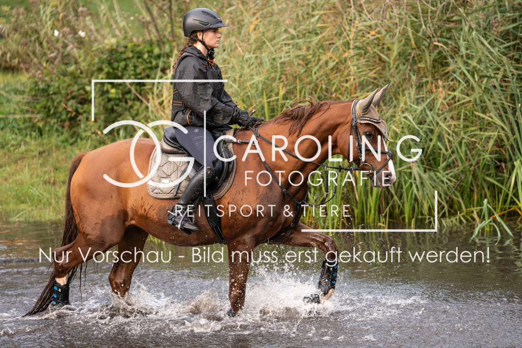 DSC06907 | Turnierfotografin Carolin Gieschke, Turnierfotografie Carolin G Fotografie, Turnierfotos Kirchheim/Teck, Esslingen, Stuttgart, Bodenseekreis