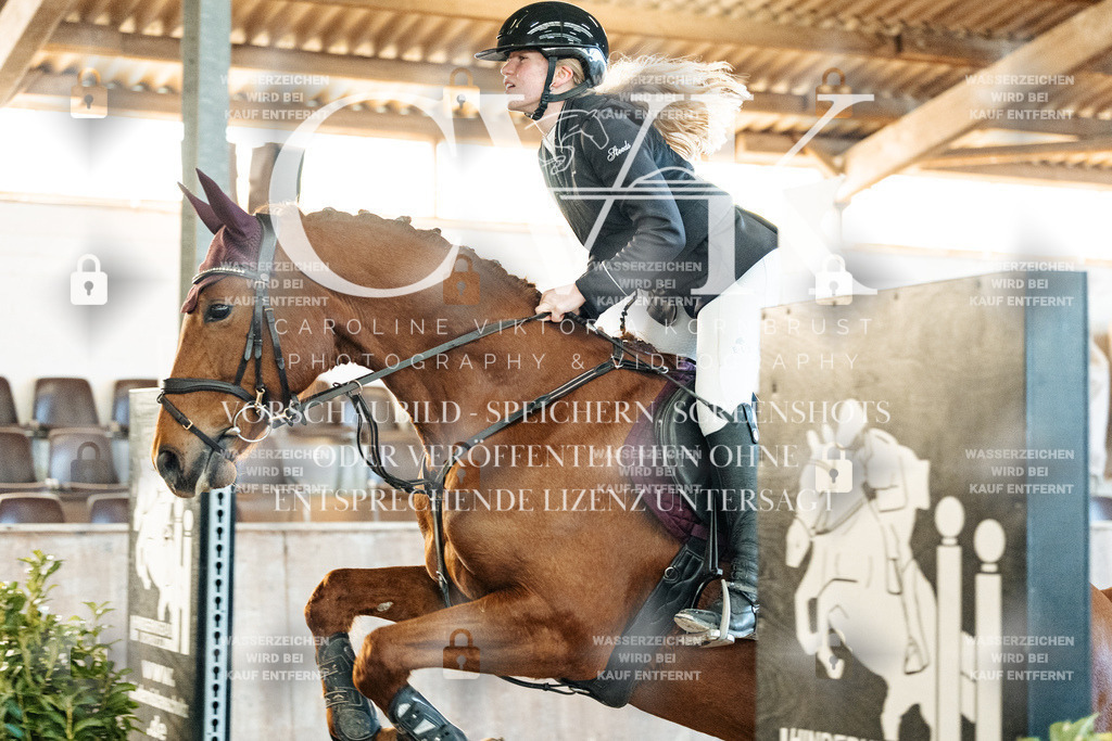 CK903843 | Turnierfotografie Pferdefotografie Trier Rheinland-Pfalz Pferdesport Reitsport Tierfotografie Sportfotografie Pferdevideo Pferdevideografie Equestrianvideography equestrianphotography  - Realized with Pictrs.com