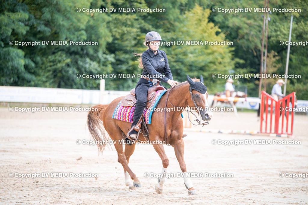 ZS3_5103 | dv-media-shop - Realisiert mit Pictrs.com