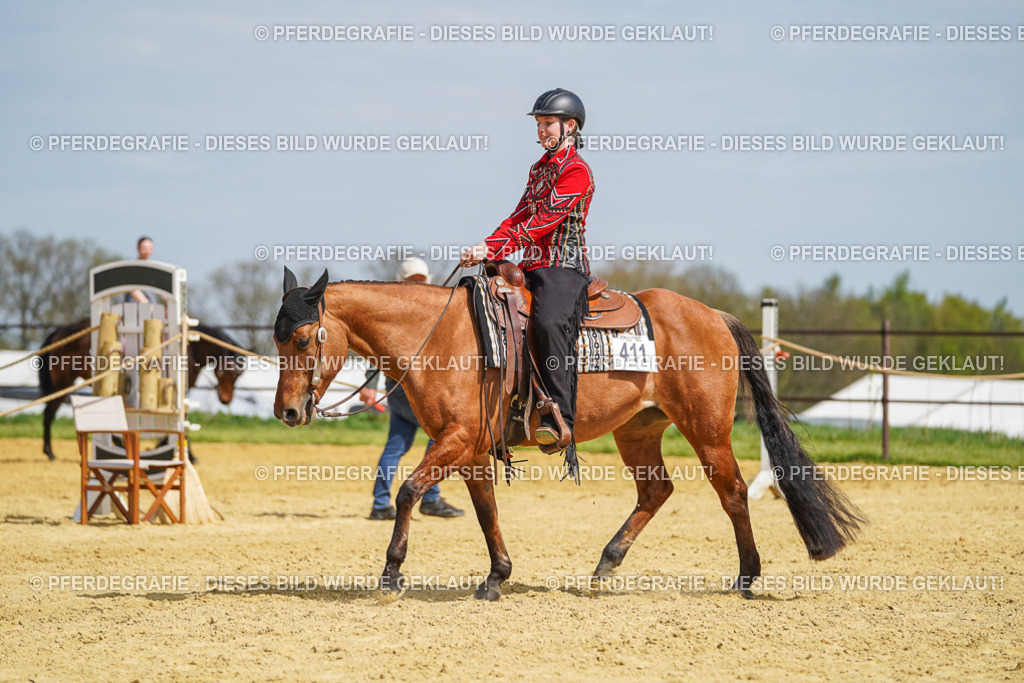 DSC04537 | Pferdegrafie