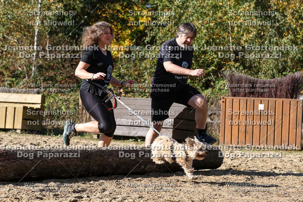 Dog Paparazzi - Strongdog 10-25-4709 | Dog Paparazzi Jeanette Grottendiek Fotografie & Videografie - Realisiert mit Pictrs.com