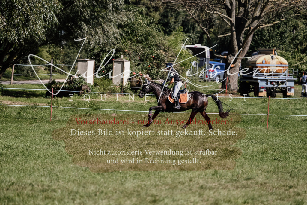 DSC_1774 | Pferde- und Turnierfotografie in Westsachsen. Pferdeportraits, Auftragszeichnungen und intuitive Kunst.