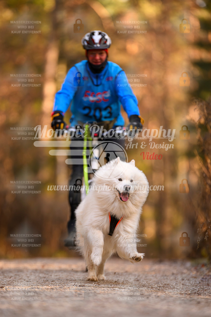 MompixPhotography_DM_AKDM_SO_2025_Bike-3 | PayLife
