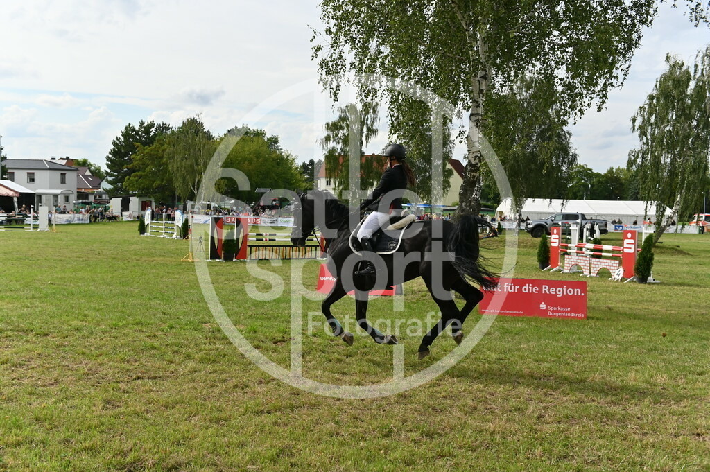 DSC_3650 | sattelsport - Realisiert mit Pictrs.com