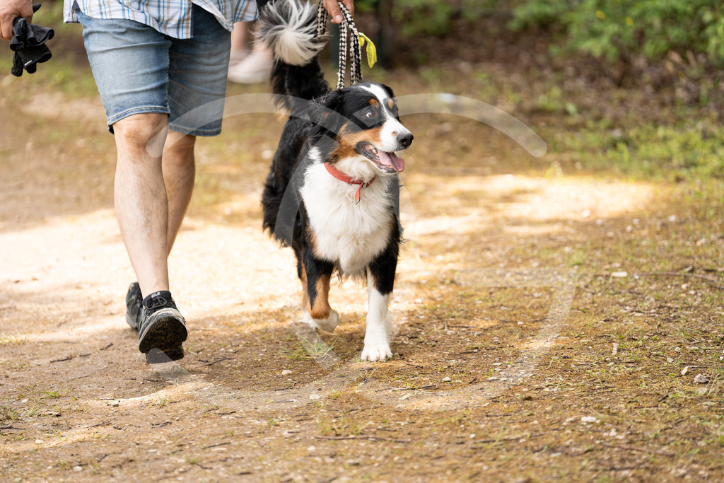 DSC02603 | Carolin Gieschke