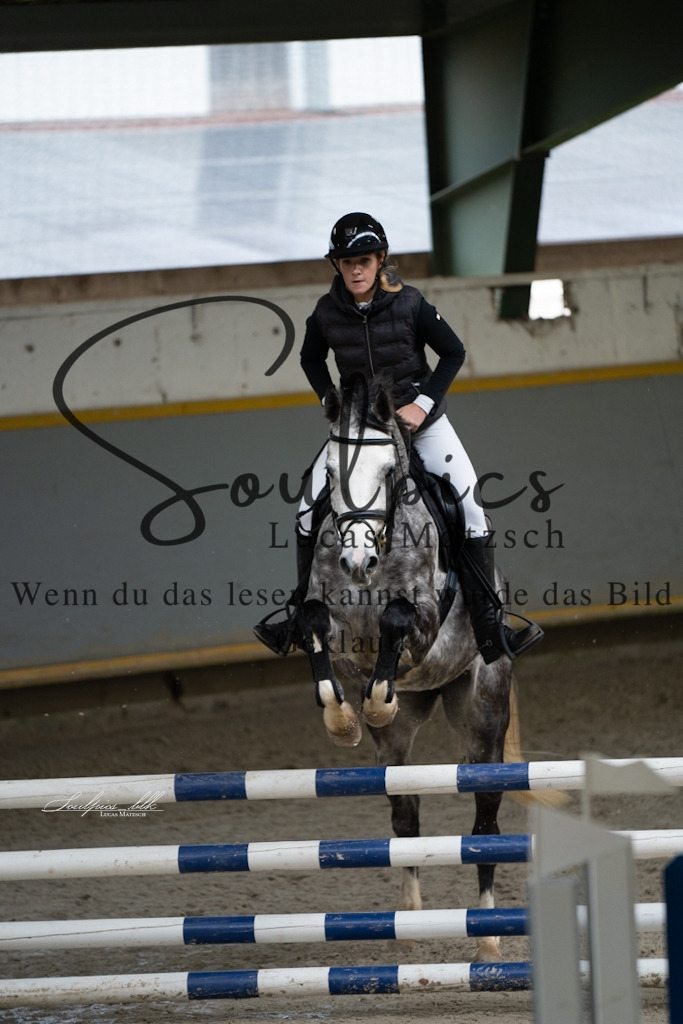 A7V01268 | Pferdefotograf