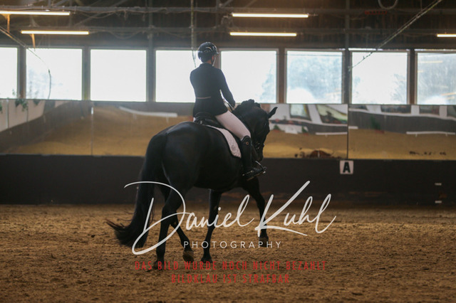 IMG_7349 | Turniersportfotografie; Pferdefotografie; Dressurfotografie