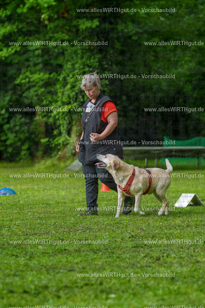 @allesWIRTHgut_Tierfotografie - www.allesWIRTHgut.de - 7R502181 | Professionelle Tierfotografie in Mönchengladbach von Daniel Wirth (allesWIRTHgut). Liebevolle & natürliche Bilder von Hunden & Katzen für unvergessliche Erinnerungen.