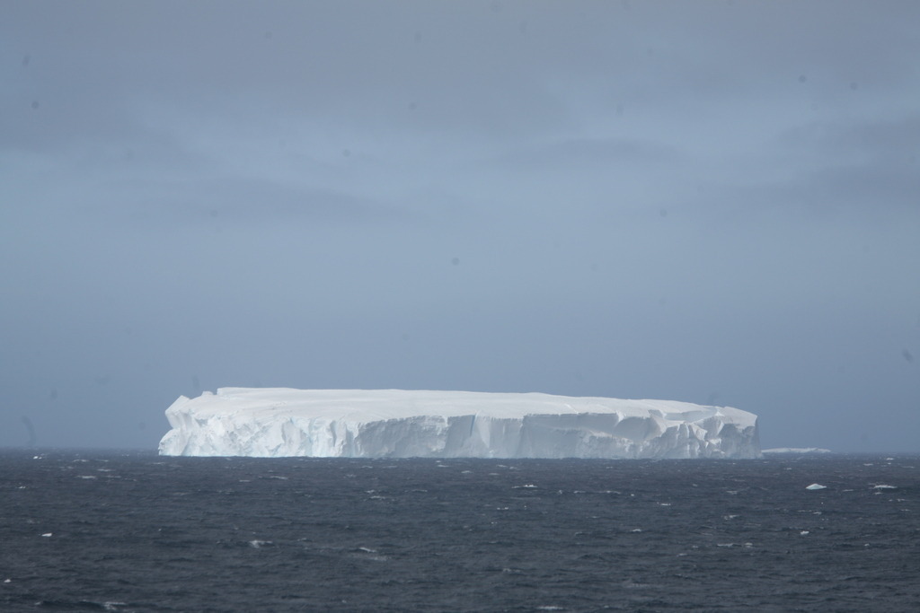 IMG_8837 | Antarktis / Antarctica - Realisiert mit Pictrs.com