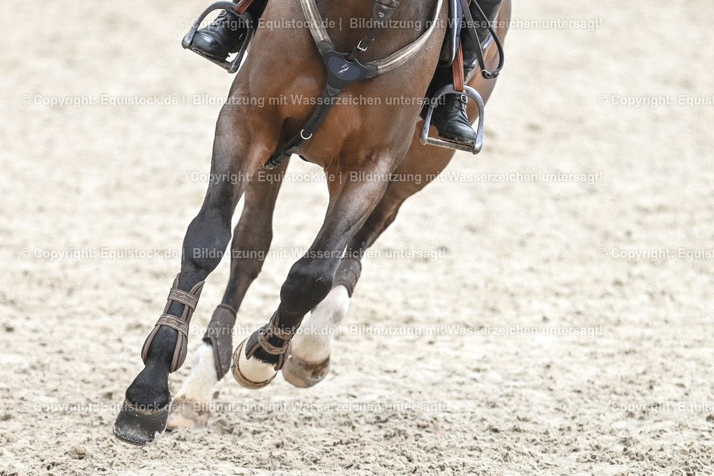 20230514_CCI4_Springen_0114 | equistock