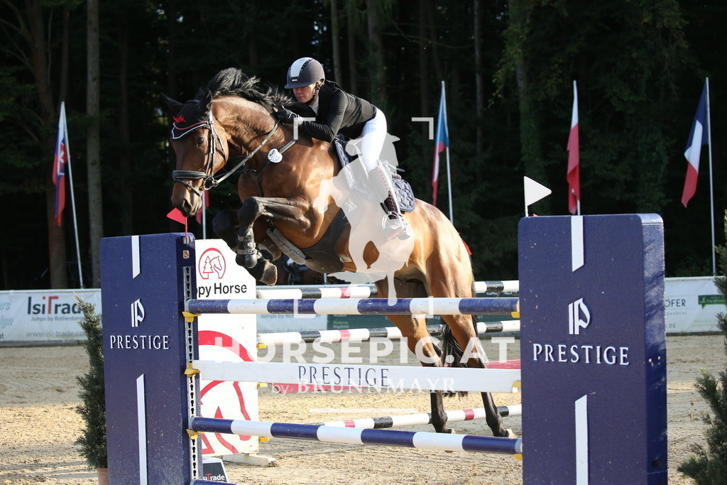 DL2Q6229 | Willkommen bei Brunnmayr - Design & Fotografie – Ihrem Spezialisten für Reitturniere und Pferdeveranstaltungen in Oberösterreich, Salzburg und Bayern! Seit über 17 Jahren sind wir leidenschaftlich dabei.