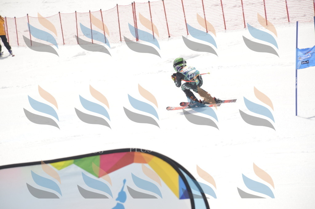 _ELE8461 | holidayphoto