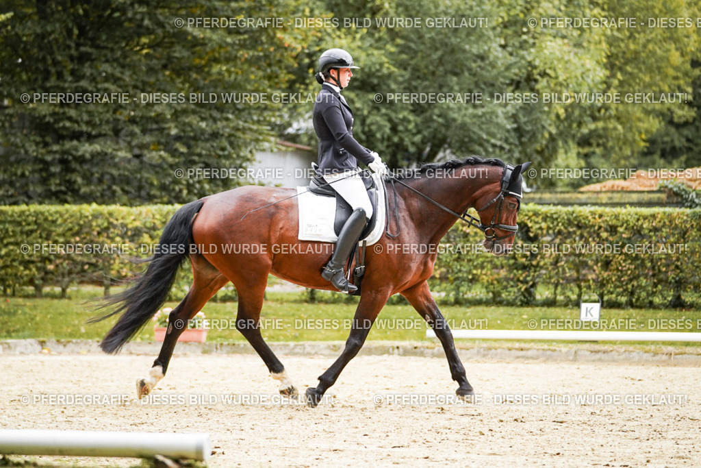 DSC07508 | Pferdegrafie