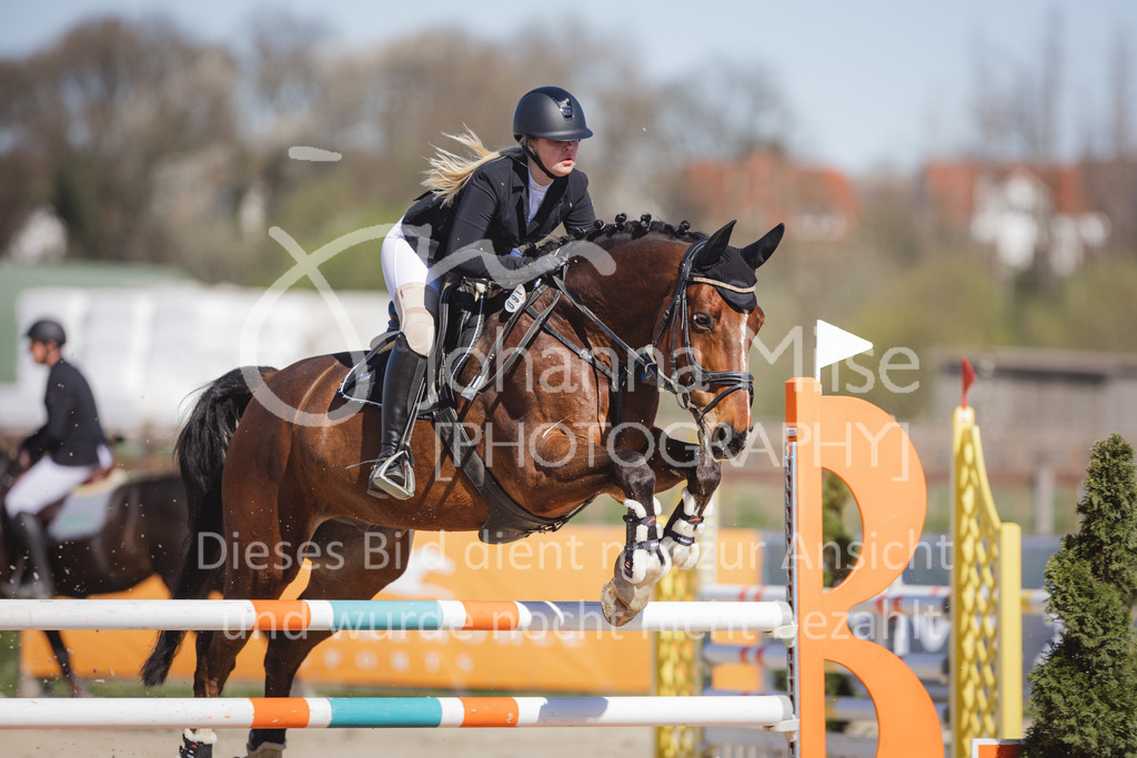 220416_4_L-Stil2-527 | Frühlingsfest der Pferde
Herford
16.April 2022
04/2 Stilspringprüfung Kl.L geschlossen 79-481 RLP