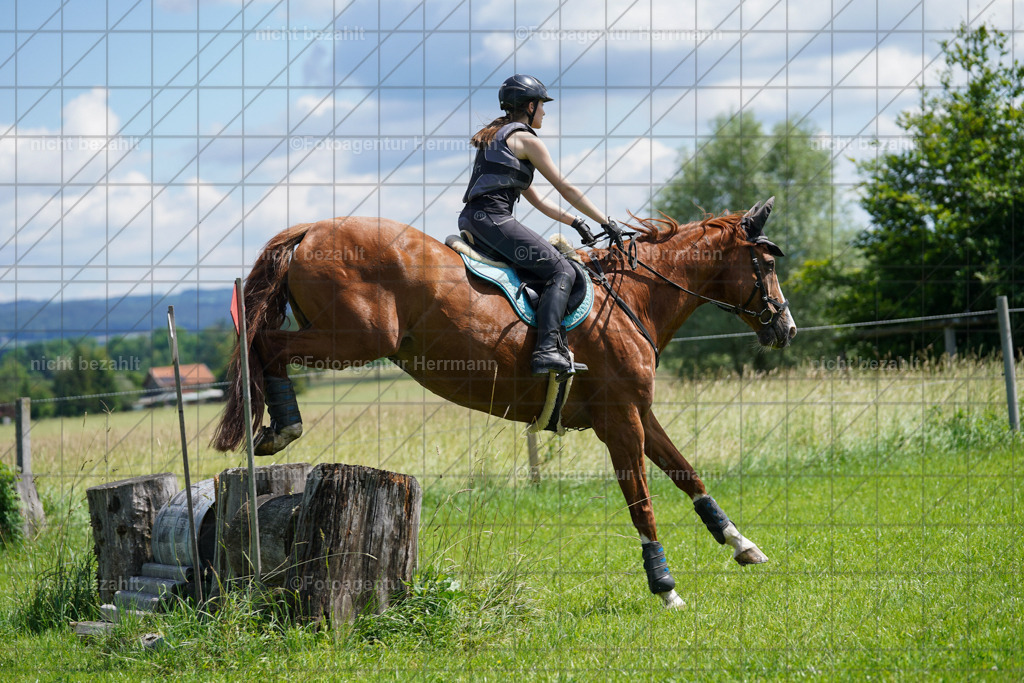 20240622-FAH06804 | Turnierfotografen Bayern, Reitsportbilder aus dem Geländekurs mit Felix Etzel auf dem Gut Waitzacker 2024