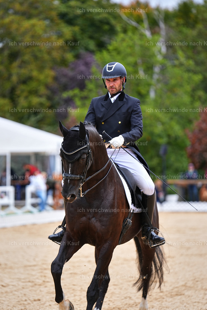 8_1-045-Klasse S_  -Marixx-4046 | working equitationturnier fotograf videograf stoibphotography marixx film working equitation deutschland reitsport turnierfotografie eventfotografie equestrian events