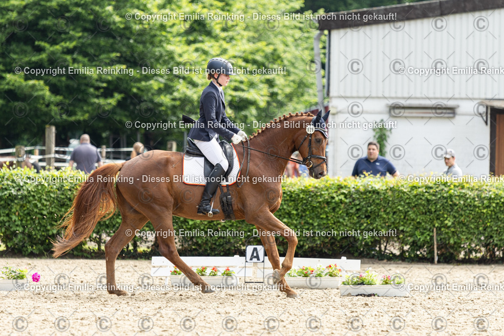 CL5A5650 | Emilia Reinking Fotografie - Realisiert mit Pictrs.com