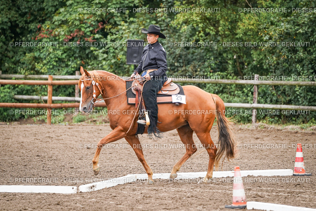 DSC03232 | Pferdegrafie