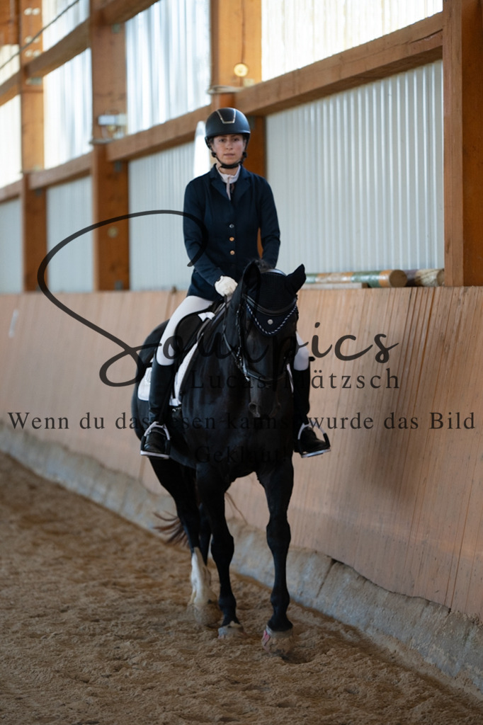 A7V01621 | Turnier/Reitfotograf