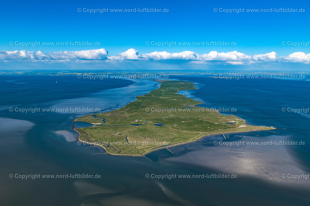 Hallig_Langeness_ELS_6272040519 | LANGENEß 04.05.2019 Grasflächen- Strukturen einer Hallig- Landschaft auf der Nordsee- Insel Nordmarsch-Langeneß in Langeneß im Bundesland Schleswig-Holstein. // Green space structures a Hallig Landscape in Langeness in the state Schleswig-Holstein. Foto: Martin Elsen