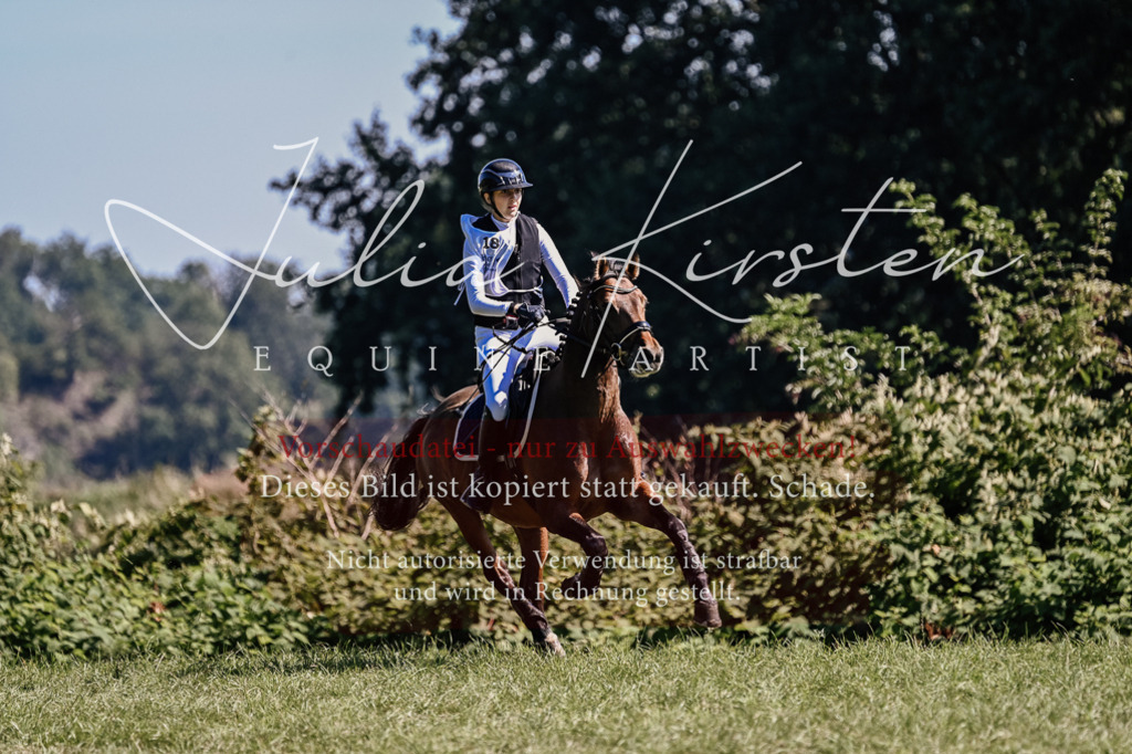 DSC_1315 | Pferde- und Turnierfotografie in Westsachsen. Pferdeportraits, Auftragszeichnungen und intuitive Kunst.