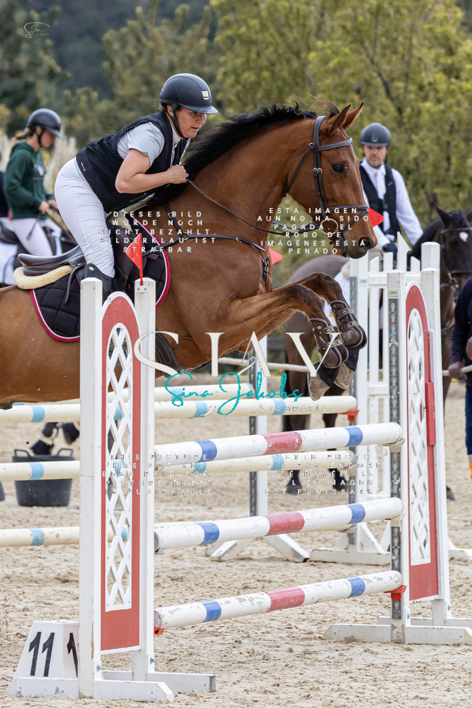 IMG_4043 | s-jay-photography - Realisiert mit Pictrs.com