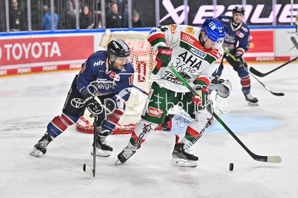 Kölner Haie - Augsburger Panther | im duell Frederik STRORM (Koelner Haie #19) und Nolan ZAJAC (Augsburger Panther #44) / Zweikampf / DEL: Koelner Haie - Augsburger Panther, Lanxess Arena am 05.01.2025