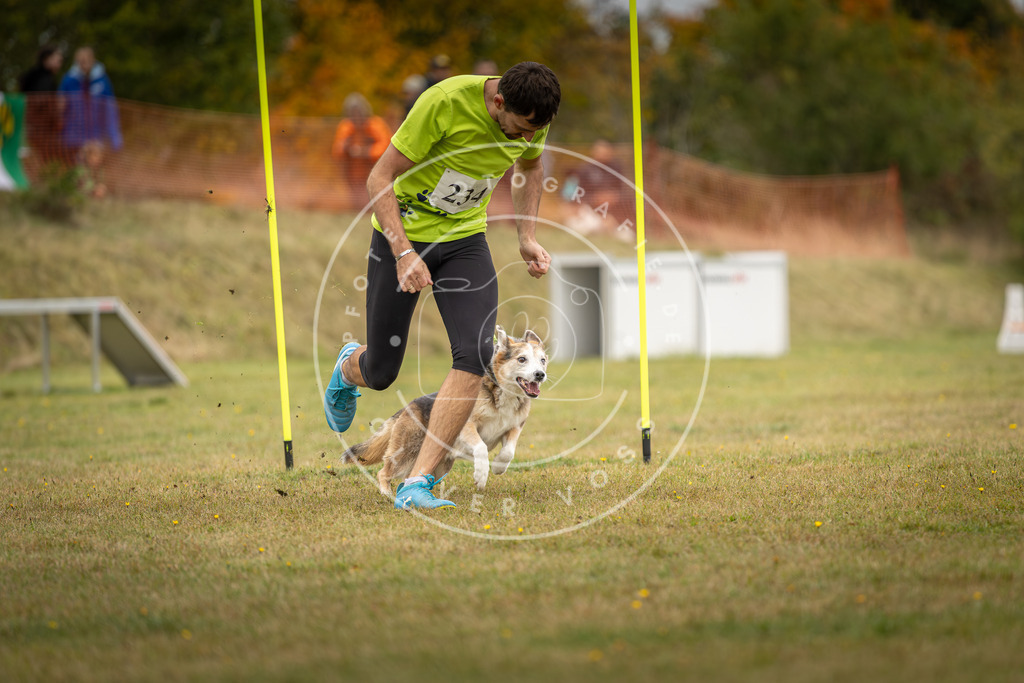 Pfotenfotografie_DV3A5181 | Hundefotografie, Tierfotograf, Pfotenfotografie, Fotoshooting Hund, Hunde Portrait, Hundesport, Hundeportraits, Heideshooting, Hunde, Sportfotograf, Hundefotograf, Turnierhundsport, THS,  - Realisiert mit Pictrs.com