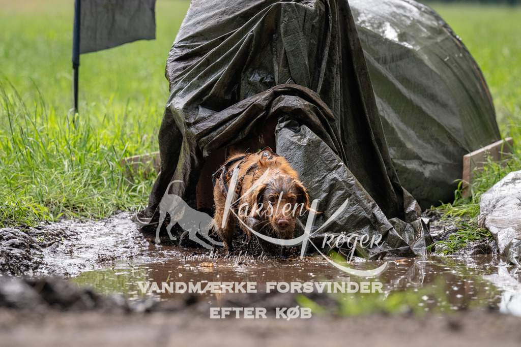 0941_ZZ91332 | kk-dogfotos