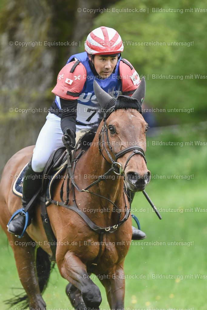 20230513_CCI4_Gelände_0104 | equistock