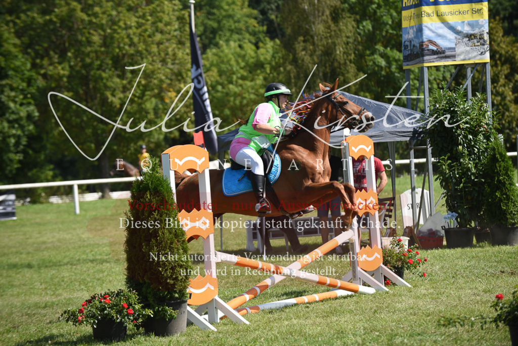 DSC_0421 | Pferde- und Turnierfotografie in Westsachsen. Pferdeportraits, Auftragszeichnungen und intuitive Kunst.