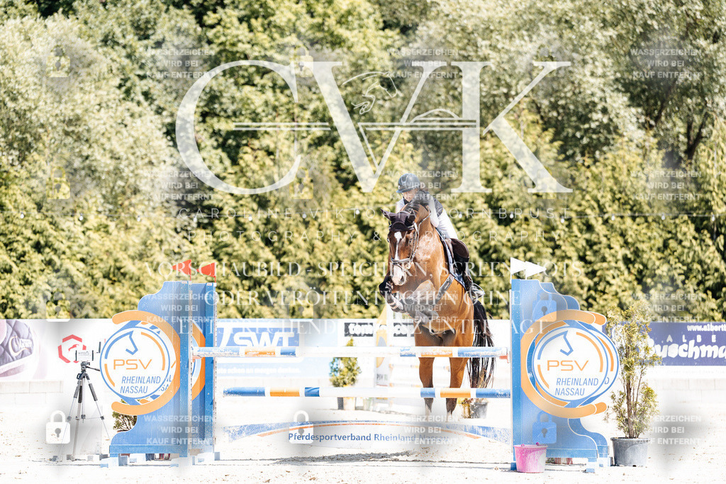 CK900351 | Turnierfotografie Pferdefotografie Trier Rheinland-Pfalz Pferdesport Reitsport Tierfotografie Sportfotografie Pferdevideo Pferdevideografie Equestrianvideography equestrianphotography  - Realisiert mit Pictrs.com