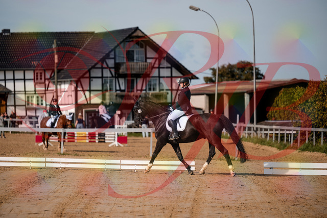 2026_10_03_Siefer-Hof_113447_Z63_20534309 | Professionelle Reitsport-, Turnier- und Eventfotografie von Robert Broda. Galerien mit ausgewählten und bearbeiteten Bildern direkt online ansehen und bestellen.